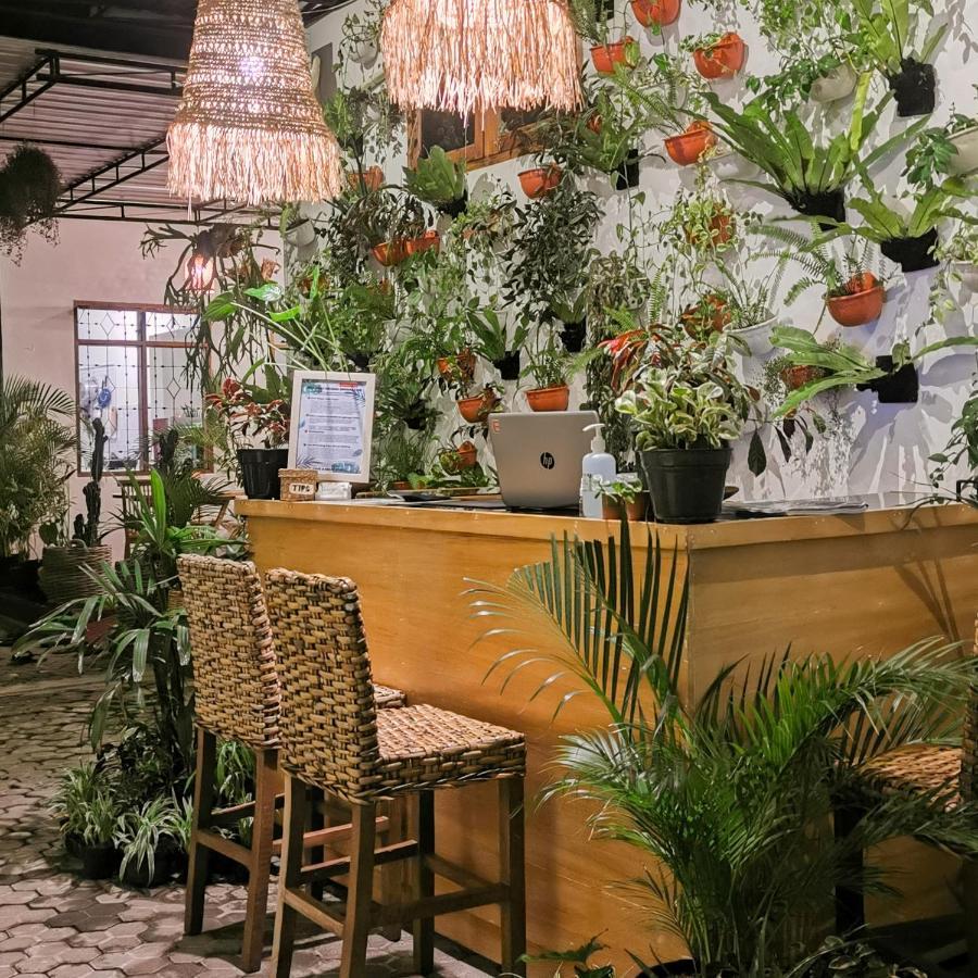 Snooze Ijen Hostel Banyuwangi  Kültér fotó